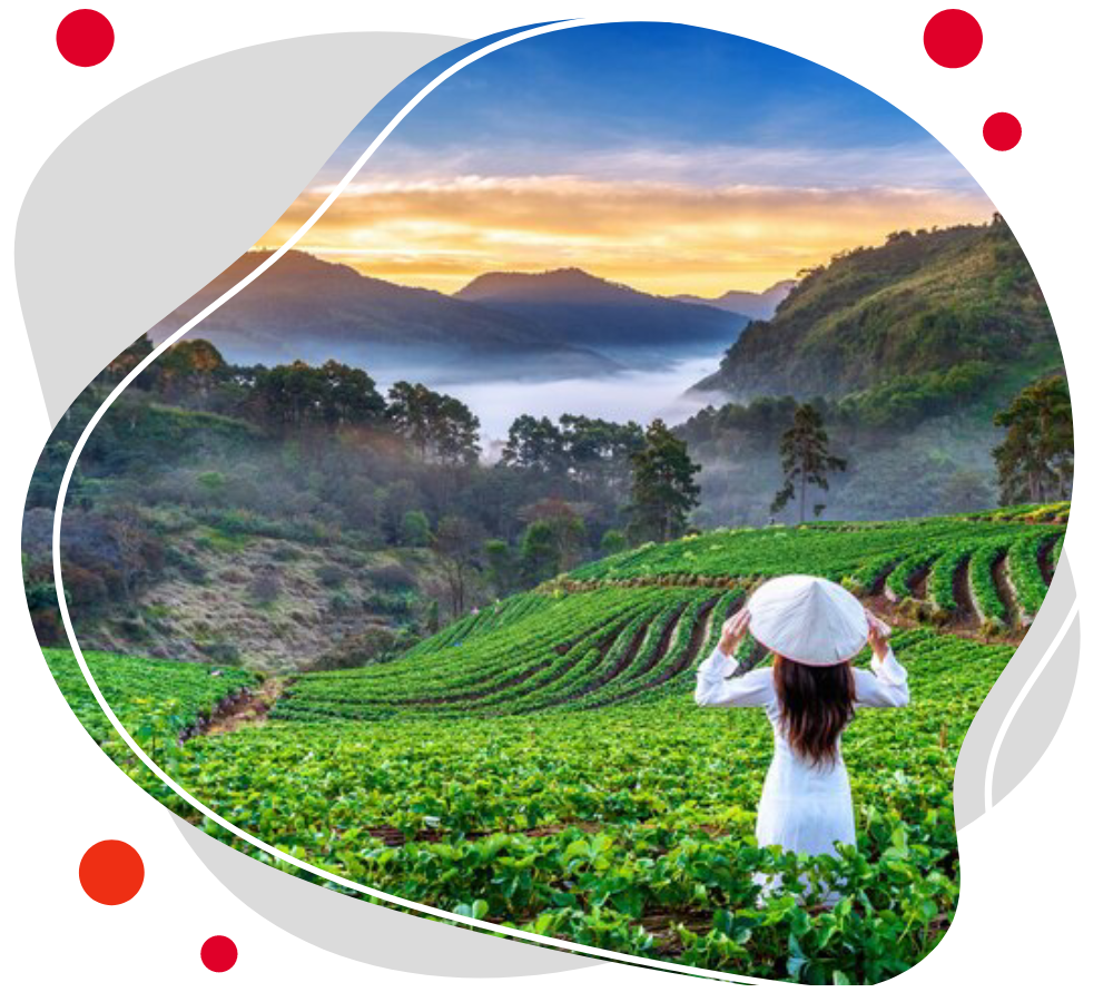ویزای ویتنام